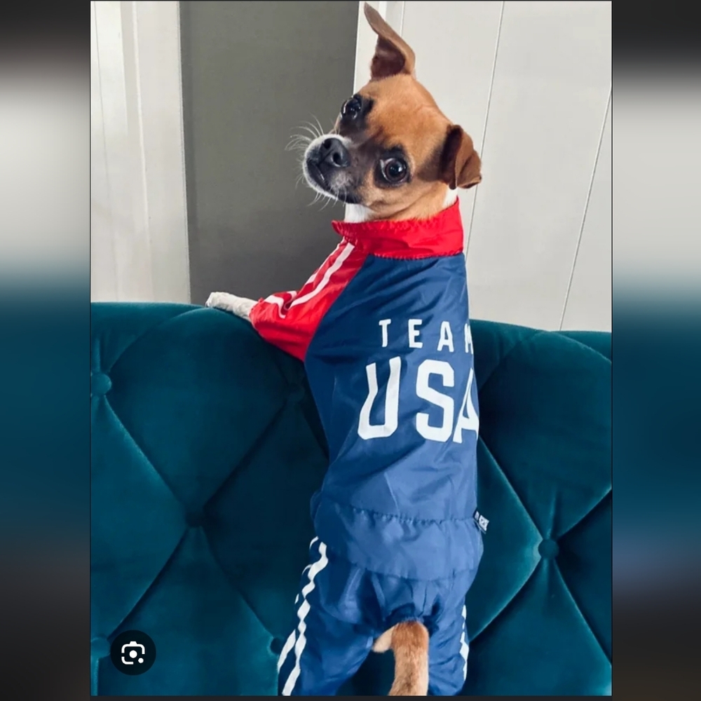 Team USA Dog XS Small Medium 15 Lbs Tracksuit Beerfest Halloween Costume